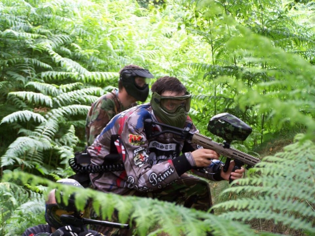 Looking for the enemy